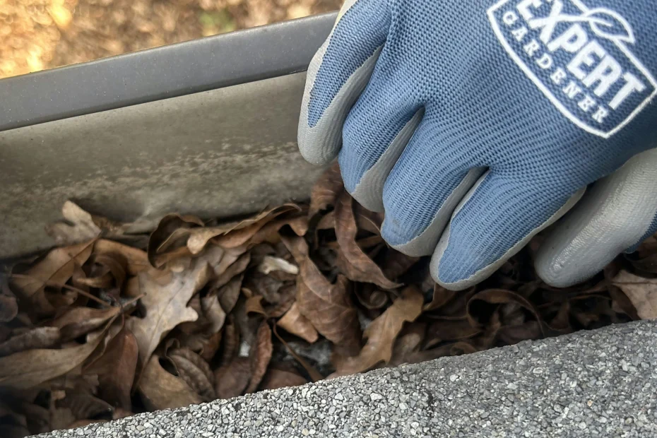 Gutter Cleaning Herndon