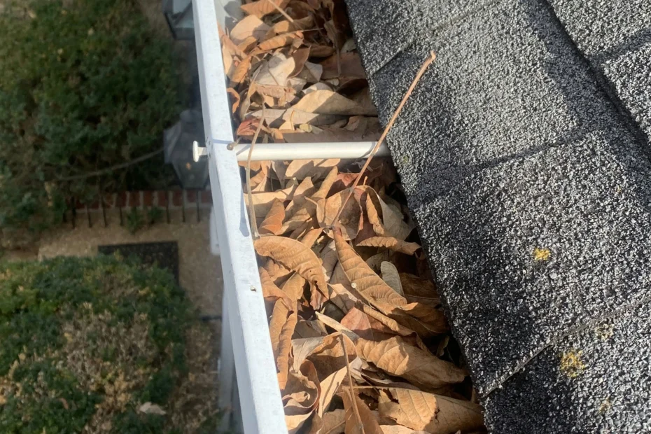 Gutter Cleaning Herndon